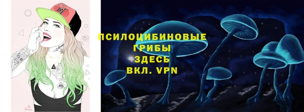 ECSTASY Богородицк