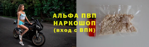 стаф Богородск