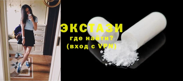 ECSTASY Богородицк