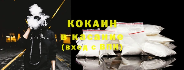 стаф Богородск