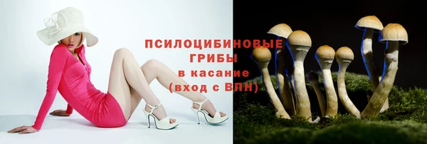 ECSTASY Богородицк