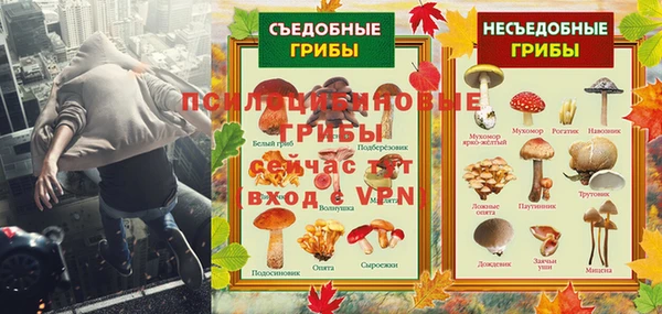 ECSTASY Богородицк