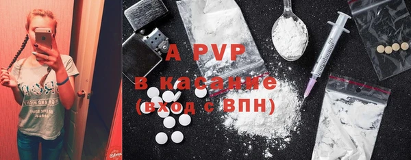 ECSTASY Богородицк