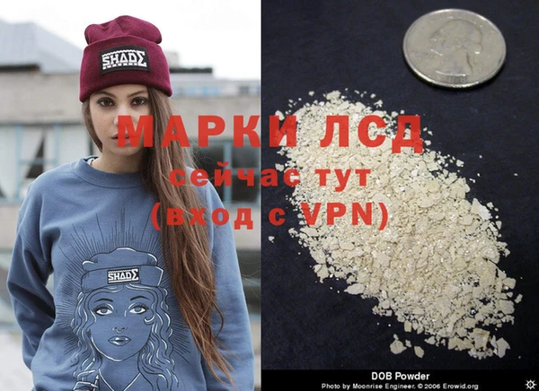 ешки Бородино