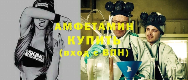 ECSTASY Богородицк